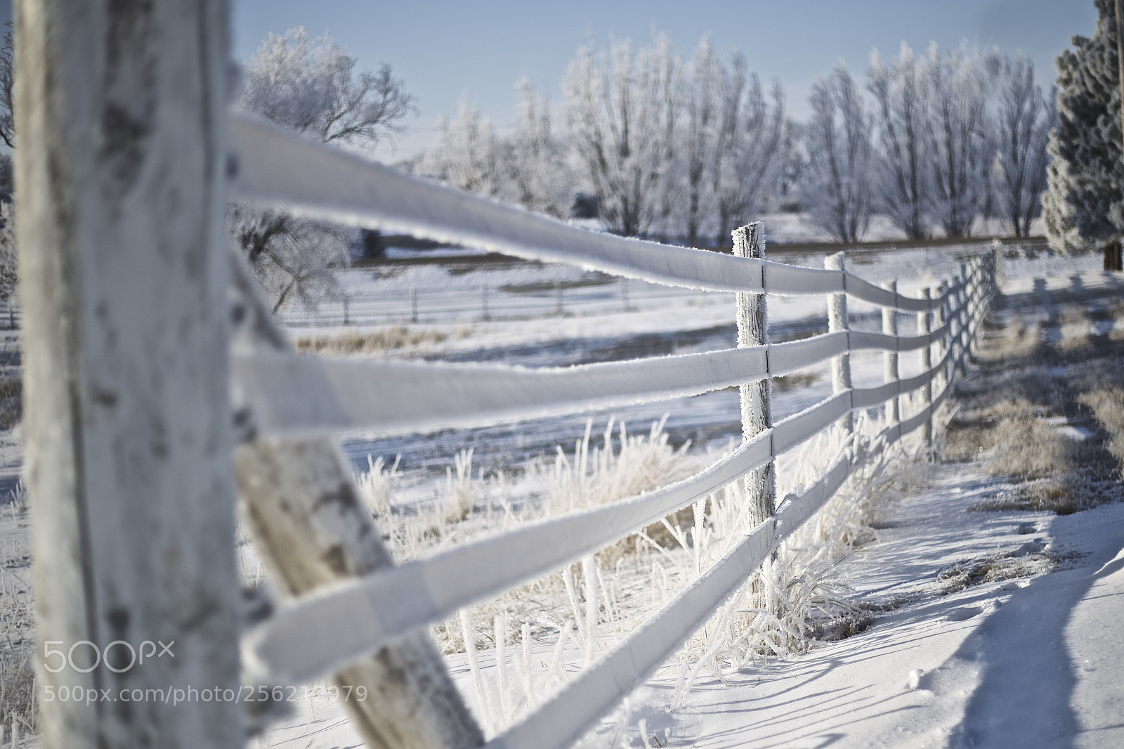 Canon EOS 6D sample photo. Fence photography
