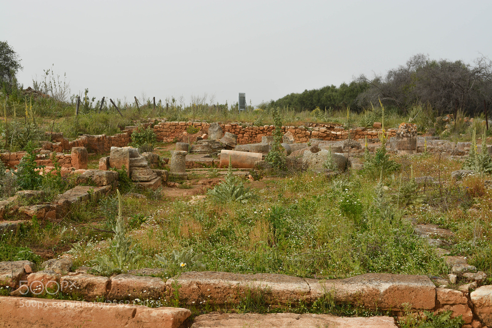 Nikon D7100 sample photo. Ruined photography