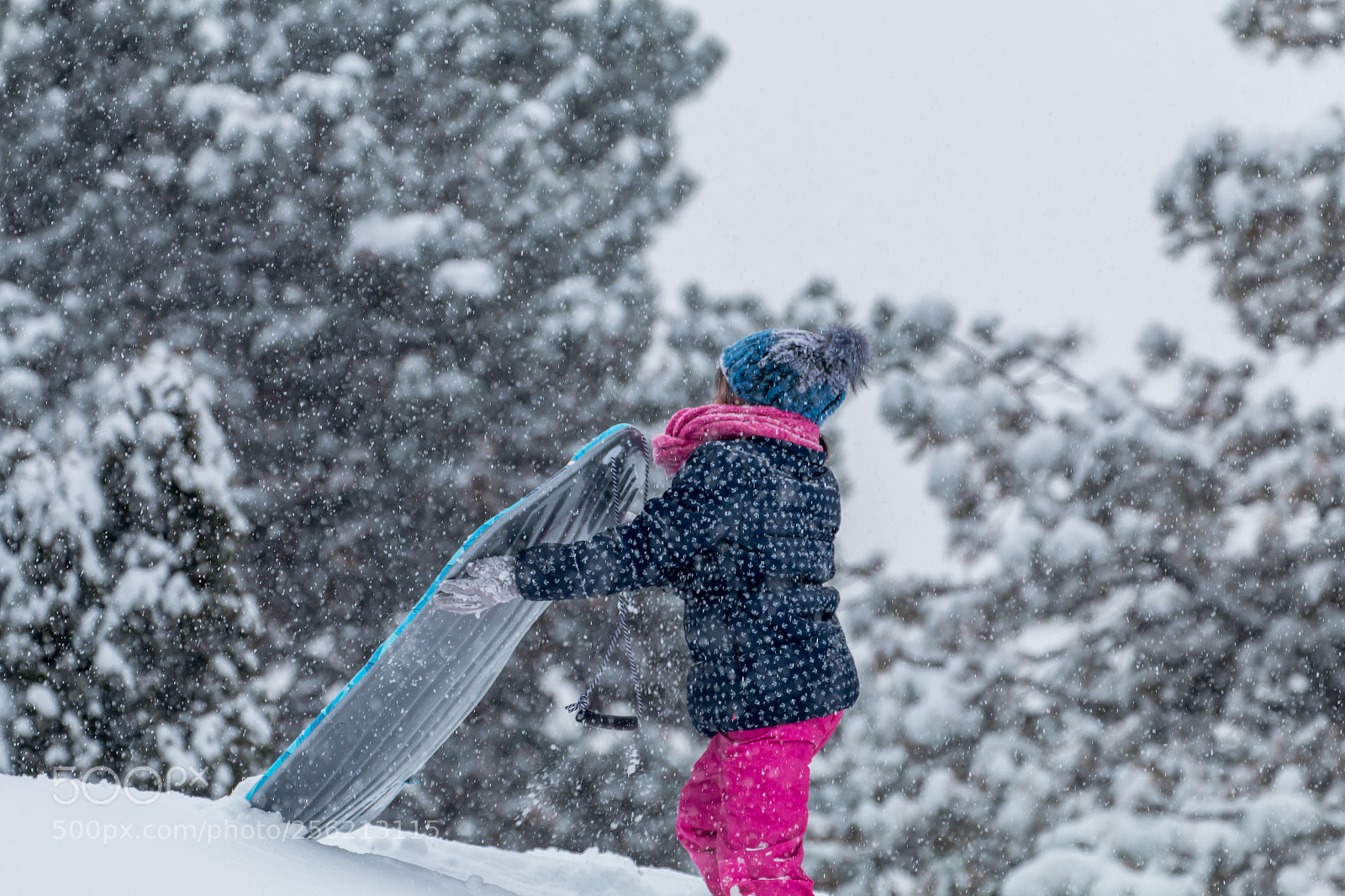 Canon EOS 70D sample photo. Embrace the snow photography
