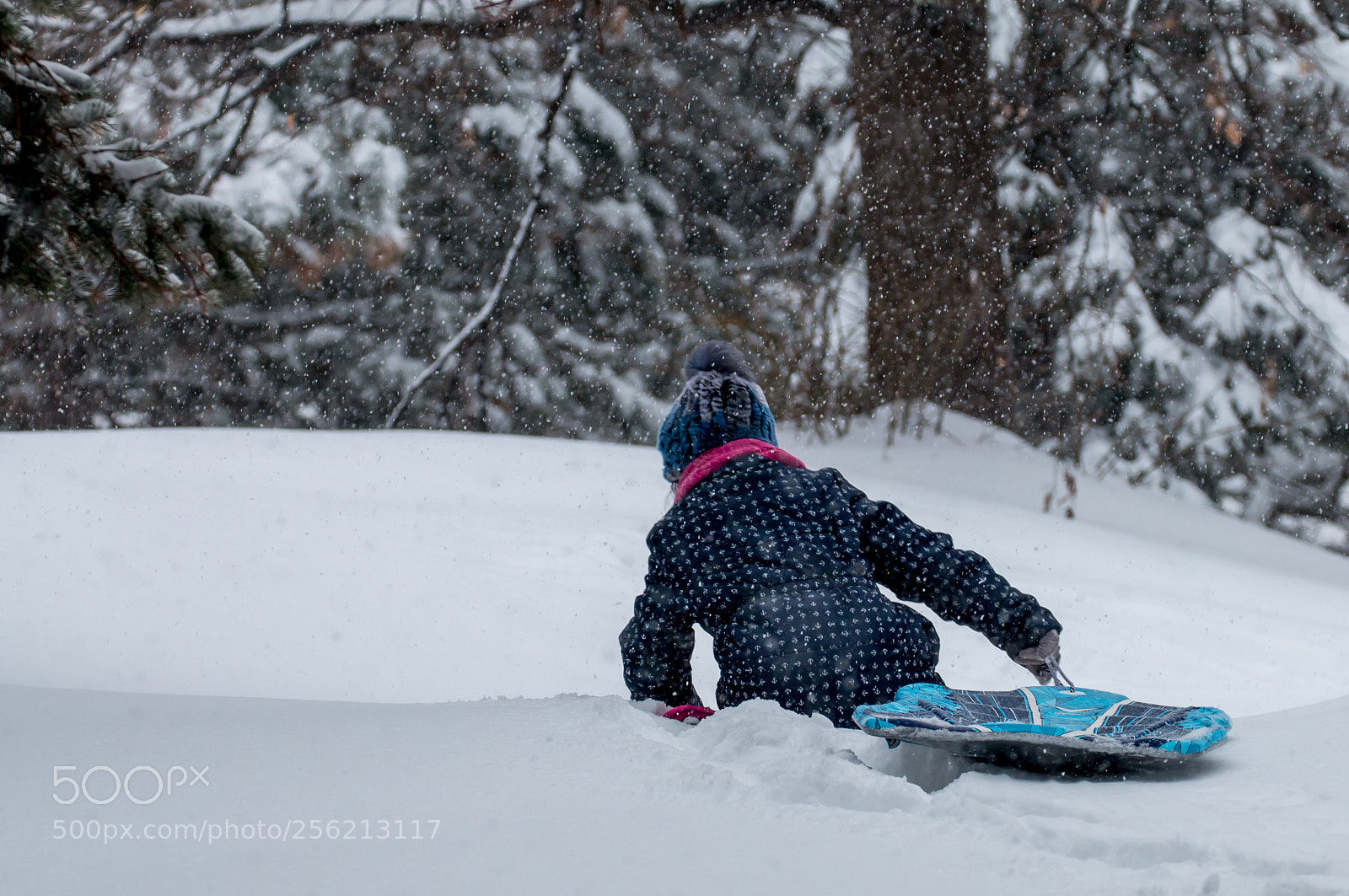 Canon EOS 70D sample photo. Playtime in a snowday photography