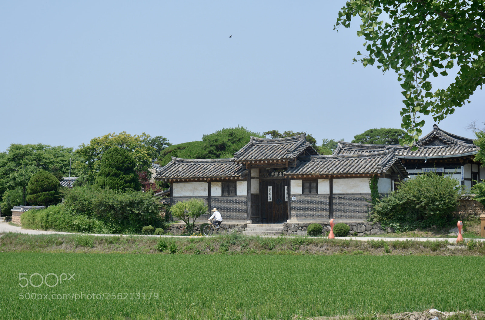Nikon D5200 sample photo. Andong hahoe folk village photography