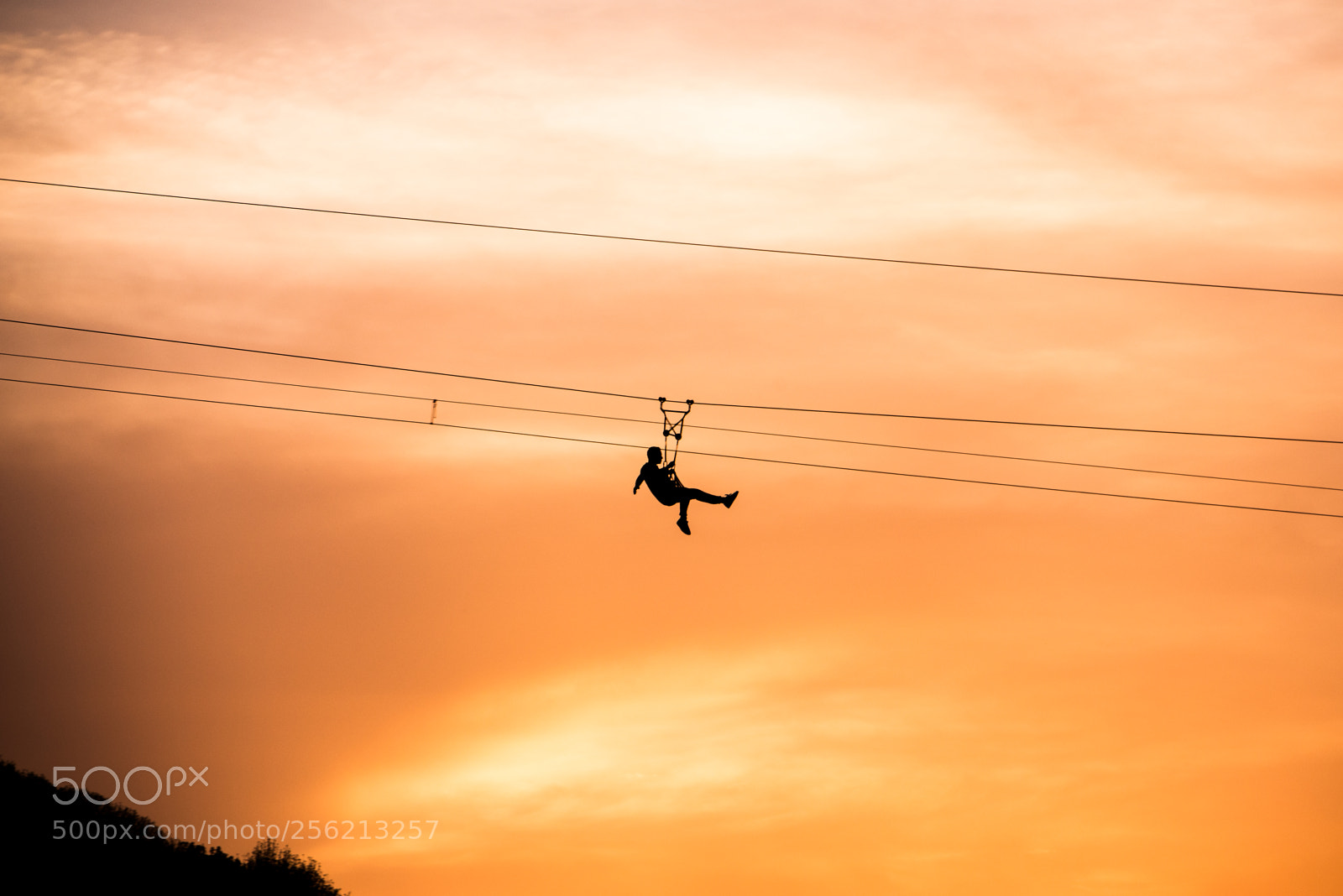 Nikon D610 sample photo. Flight photography