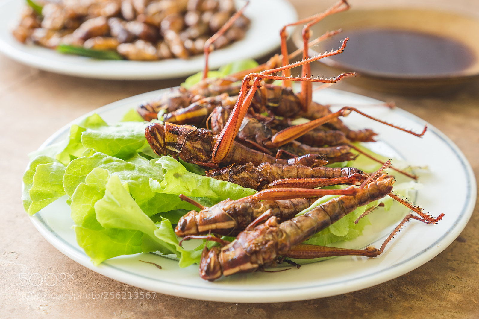 Panasonic Lumix DMC-GX8 sample photo. Fried insects photography