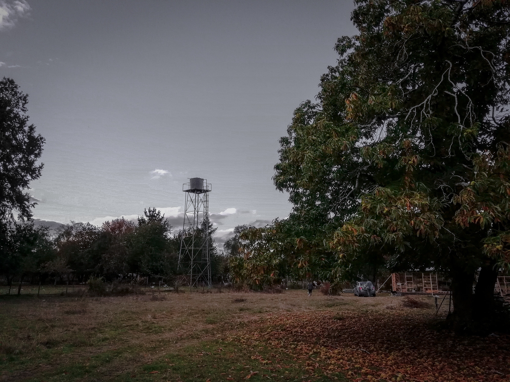 HUAWEI Y9 2018 sample photo