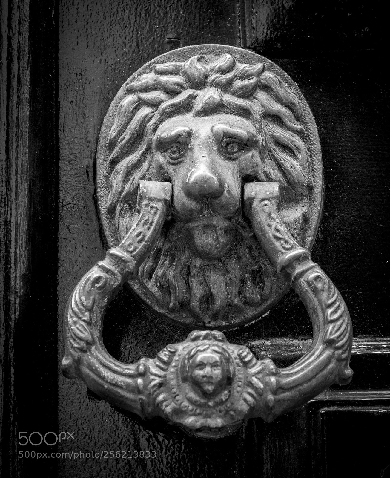 Nikon D850 sample photo. San sabastian door knocker photography