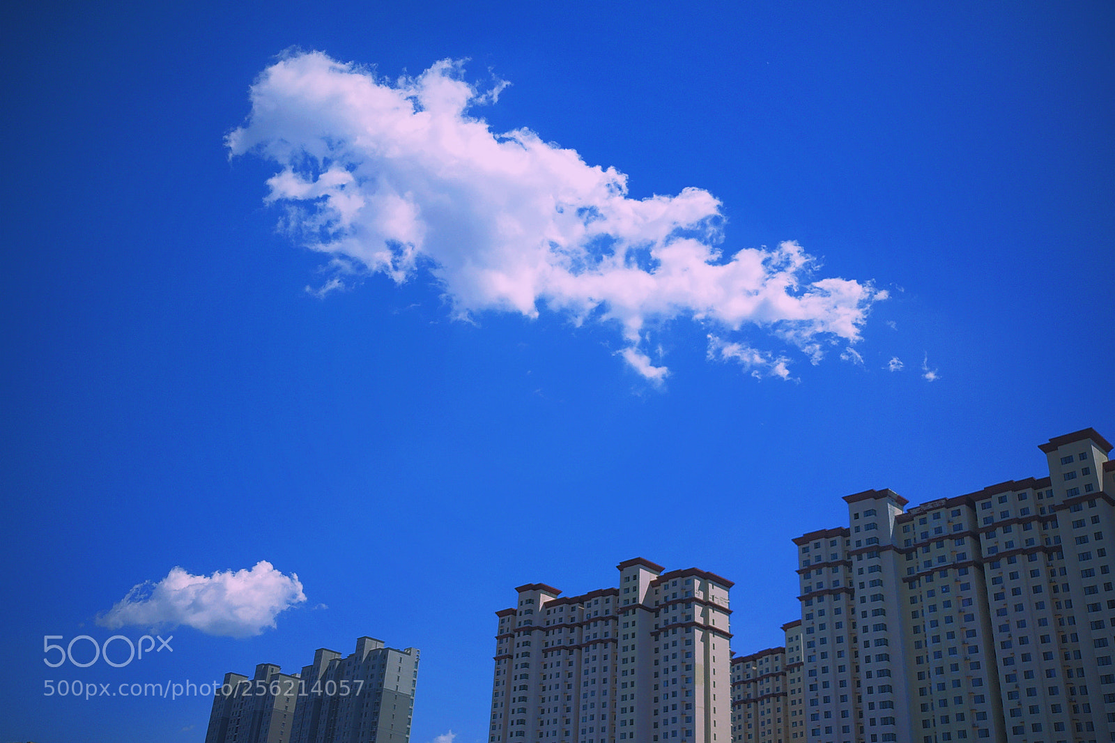 Xiaomi Redmi Note 5 sample photo. Untitled photography