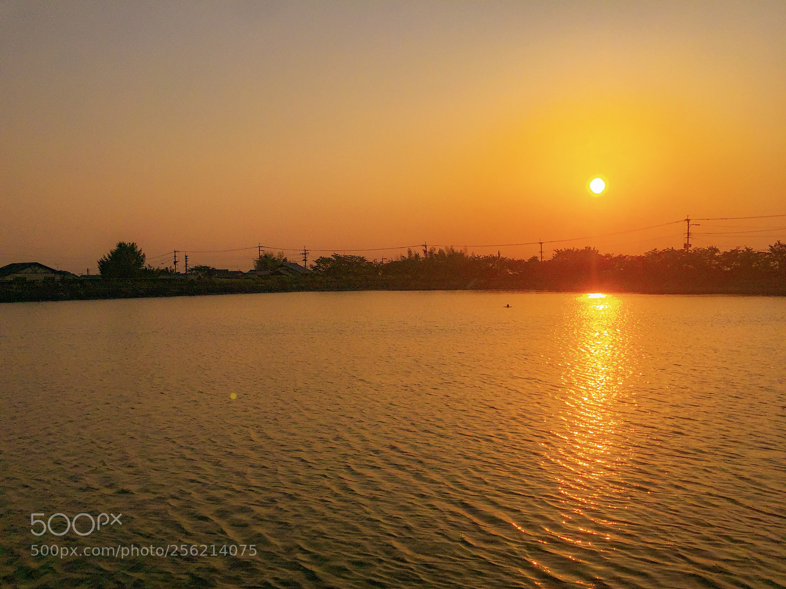 Apple iPhone 6 Plus sample photo. The pond in sunset photography