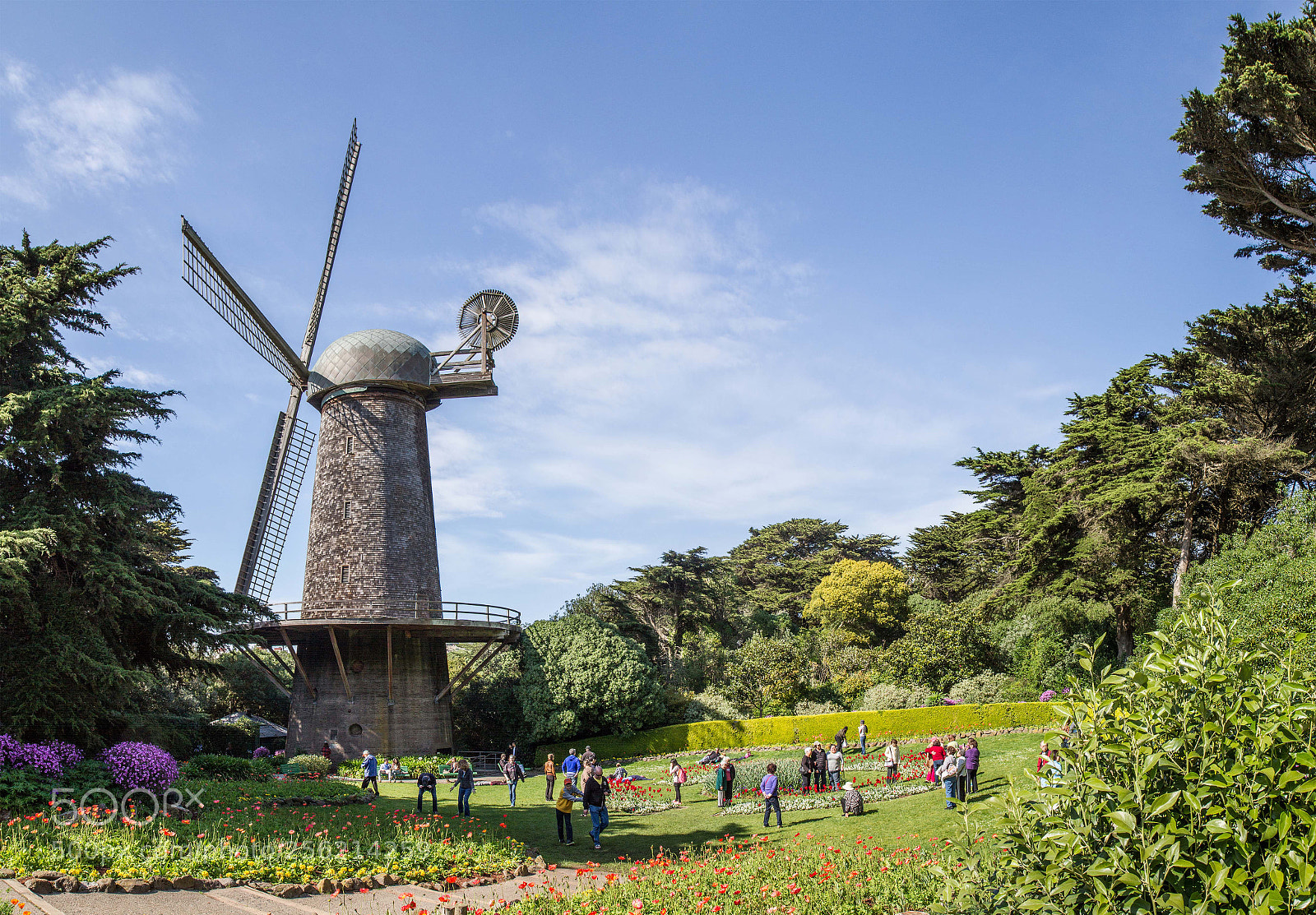 Canon EOS 7D sample photo. Golden gate windmills photography