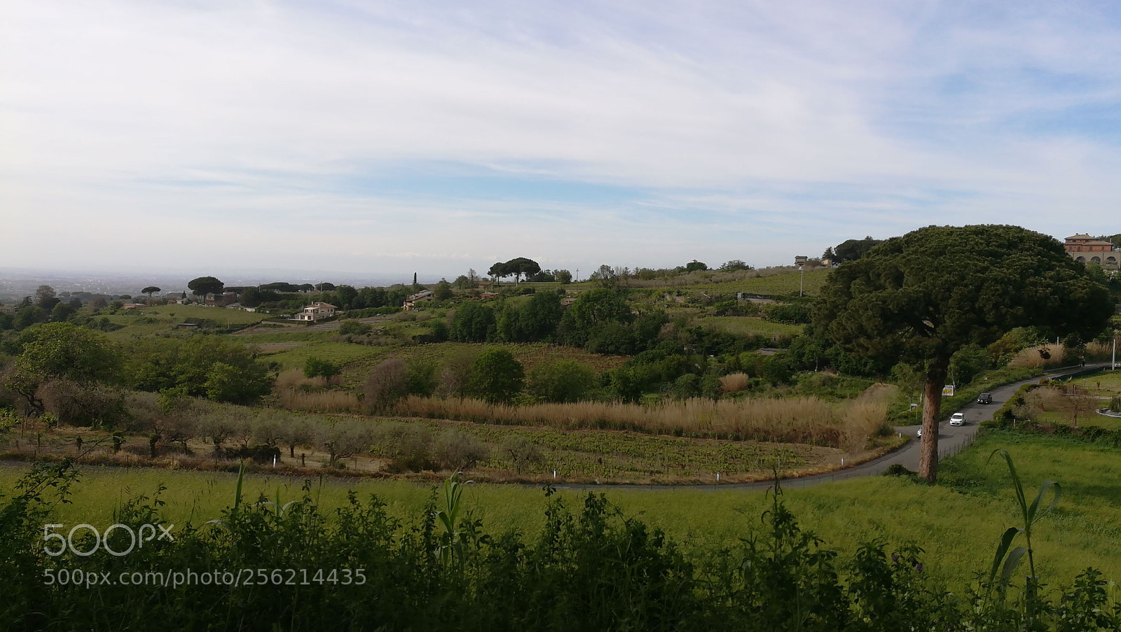 HUAWEI honor 6x sample photo. Roman countryside photography
