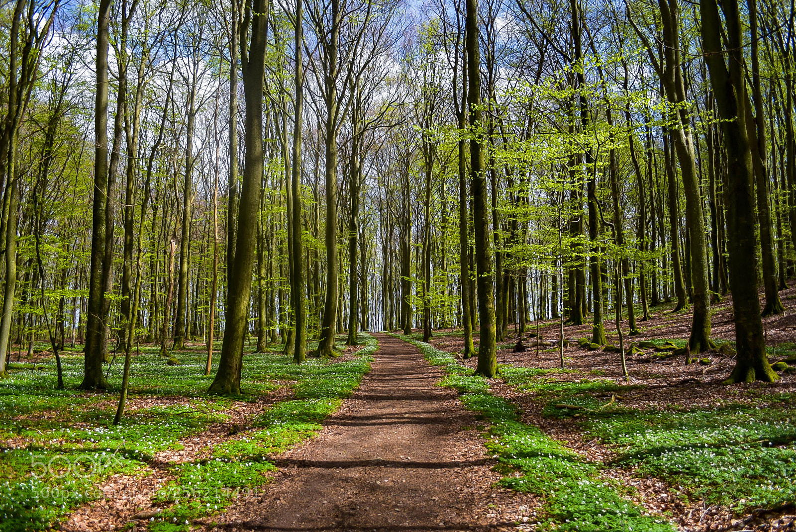 Nikon D750 sample photo. Söder2 photography