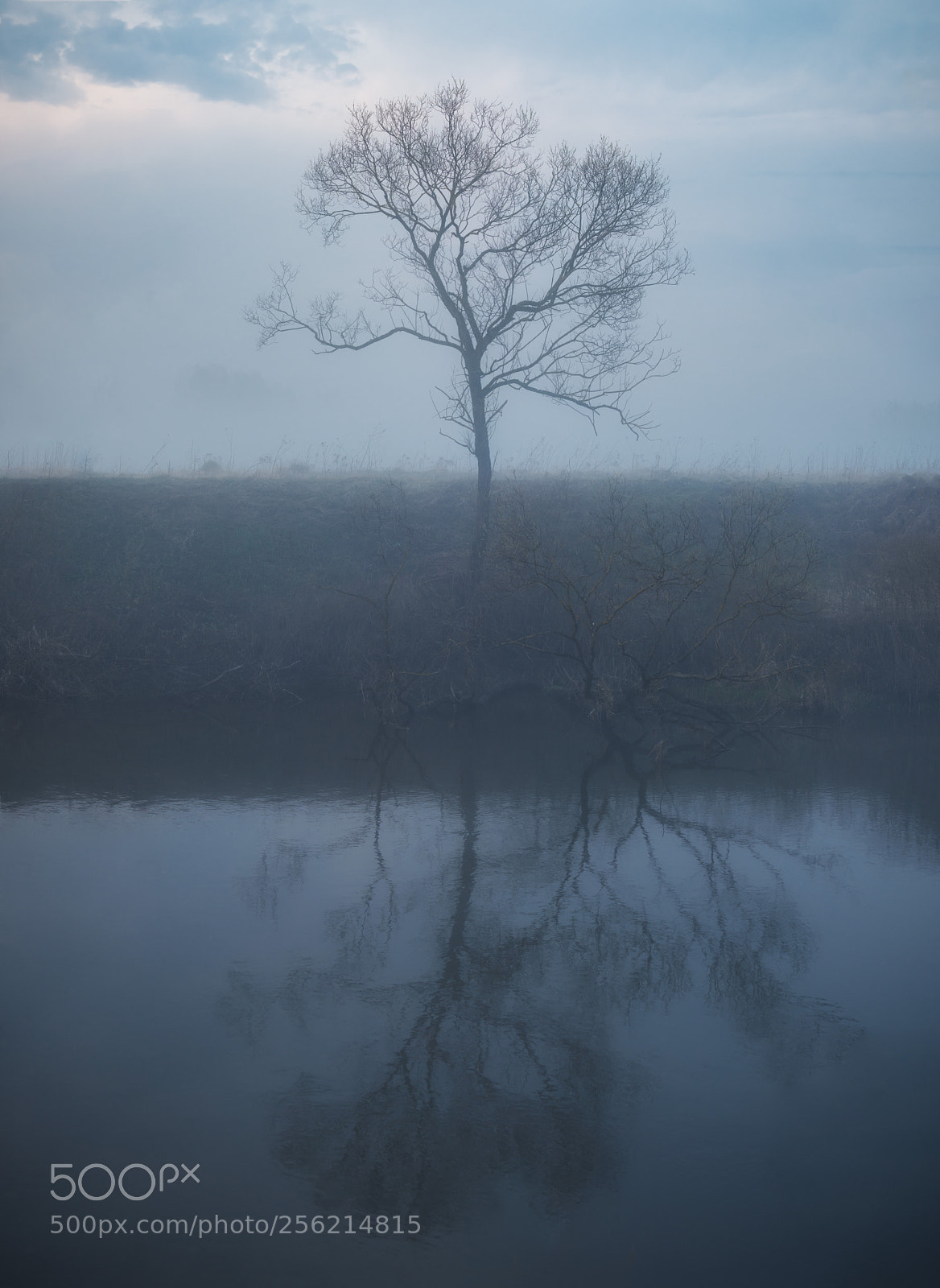 Nikon D850 sample photo. River ghosts photography