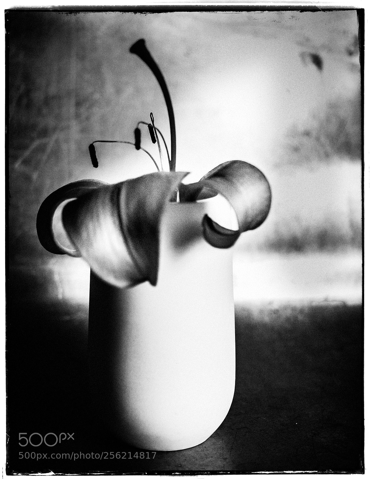 Sony a7 sample photo. Simple still life photography