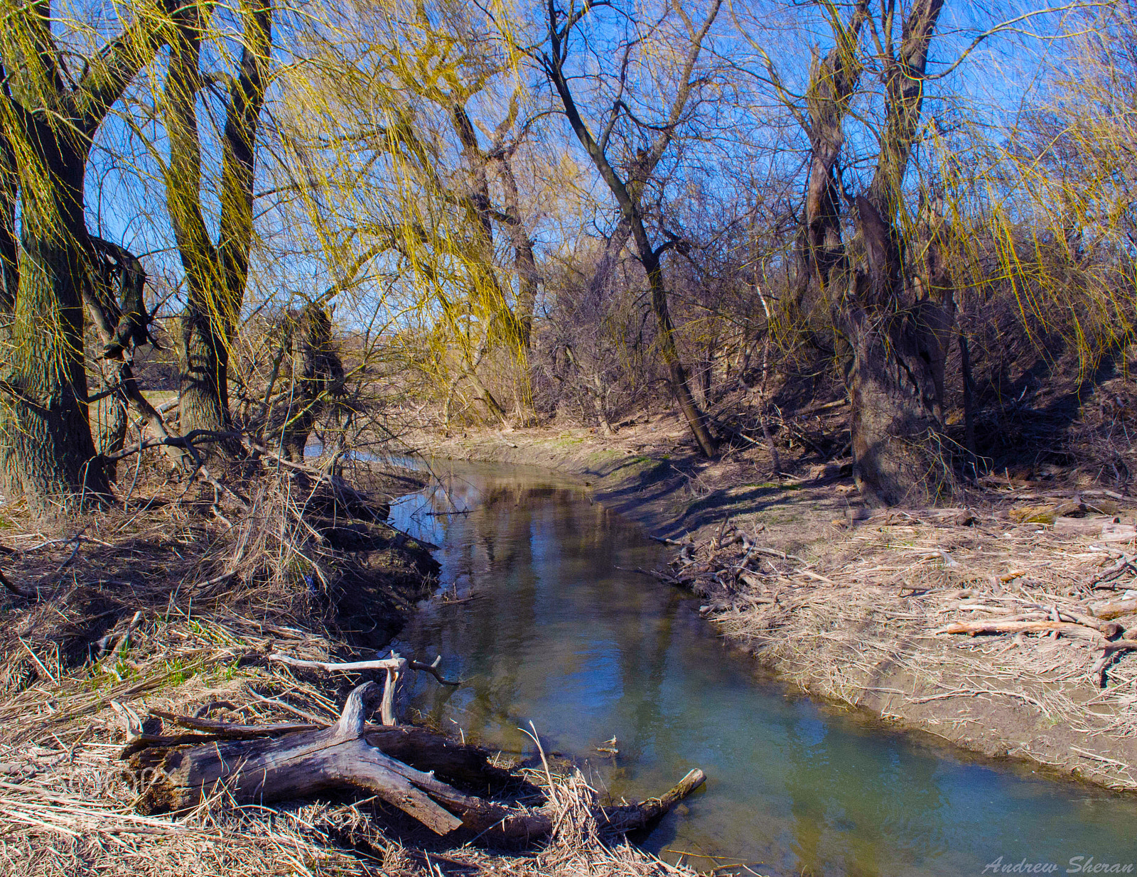 Nikon D3100 sample photo. Location shot photography