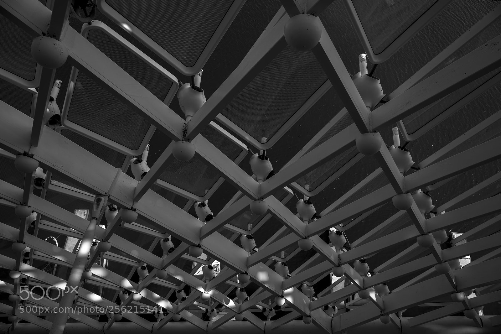Canon EOS 5DS R sample photo. Yas lines - abu photography