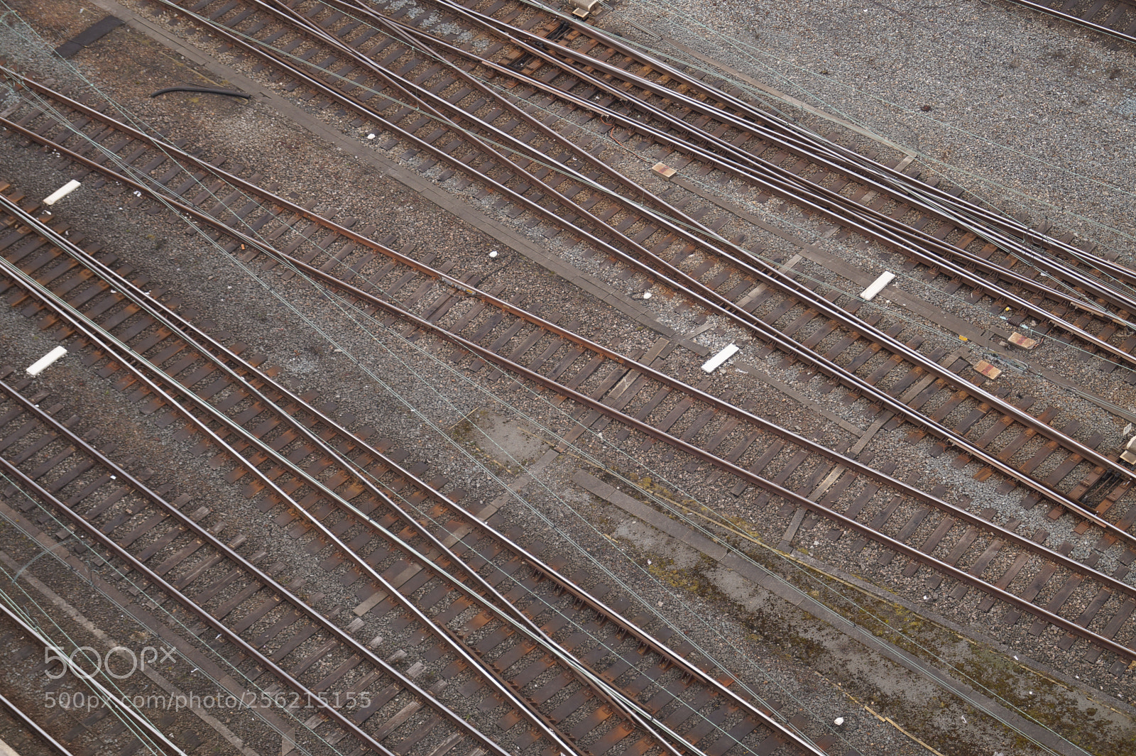 Sony SLT-A58 sample photo. Rails photography