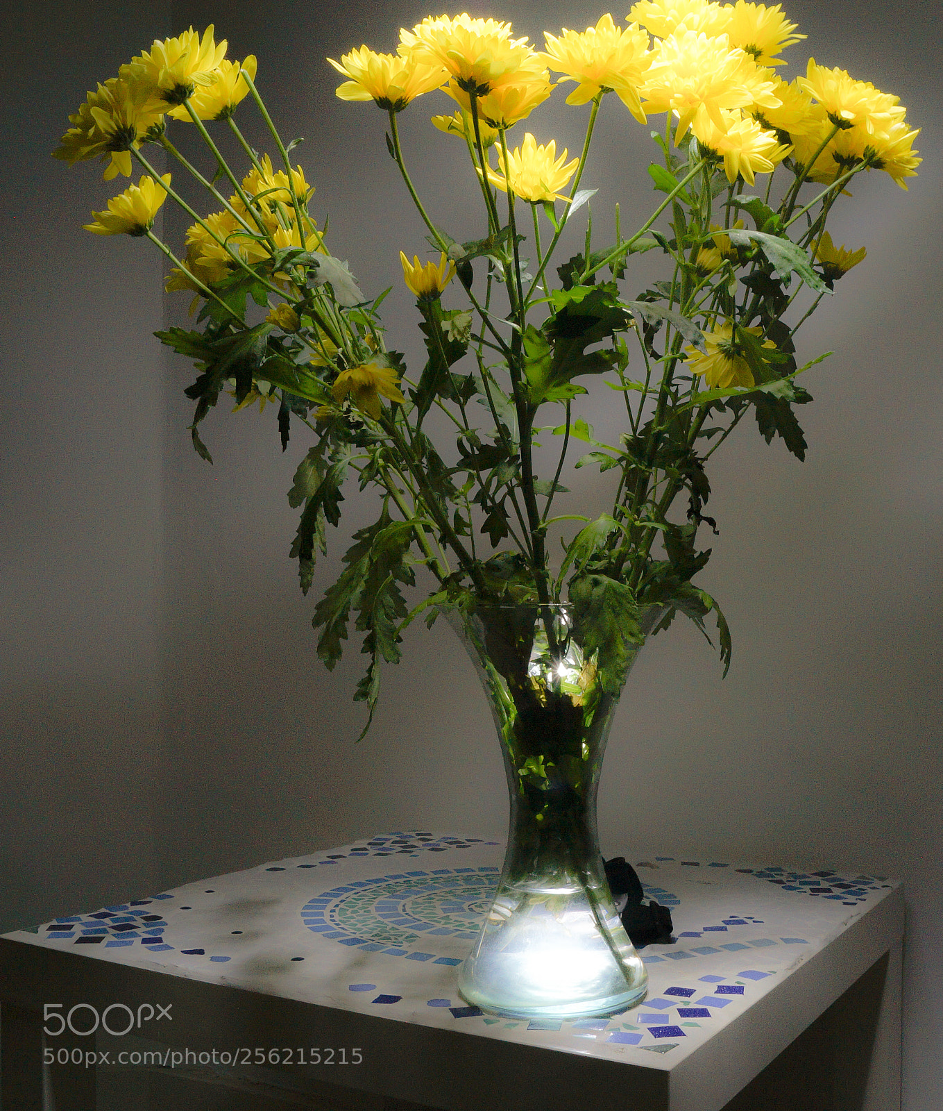 Sony SLT-A58 sample photo. Chrysanthemums in vase photography