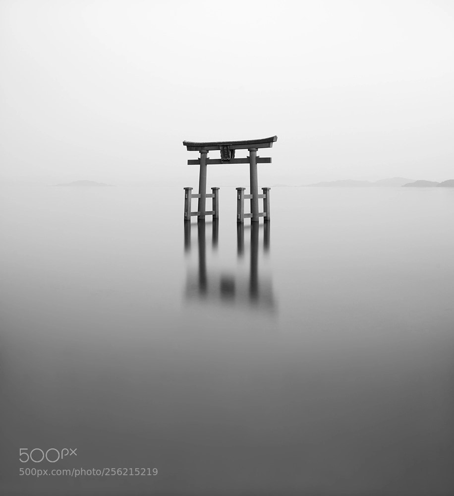 Nikon D810 sample photo. Torii gate - lake photography