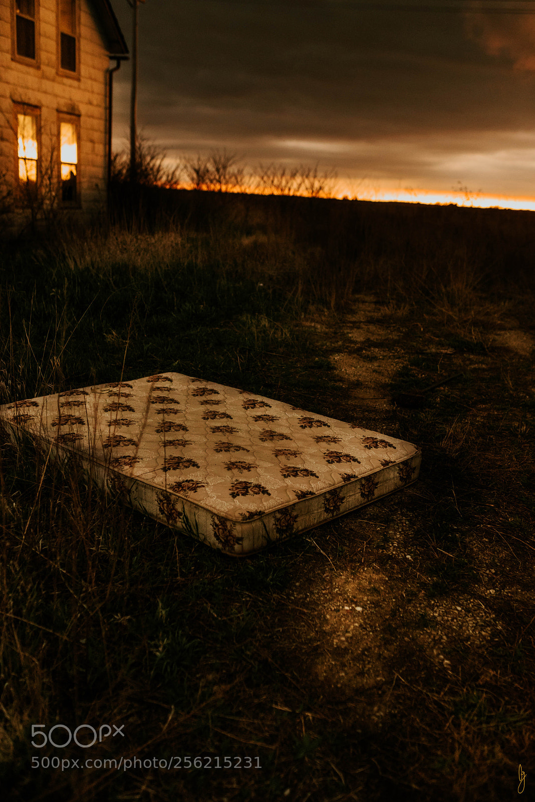 Nikon D750 sample photo. Bed time photography