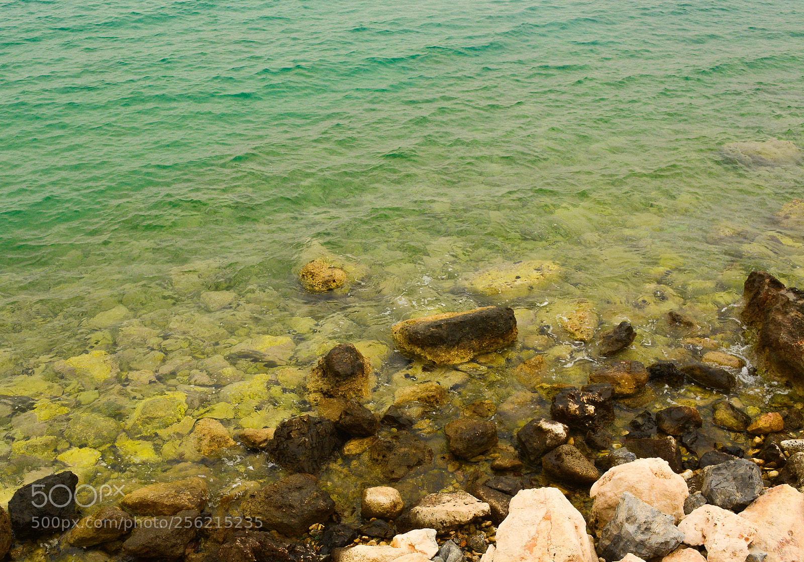 Nikon D7100 sample photo. How many colors do photography