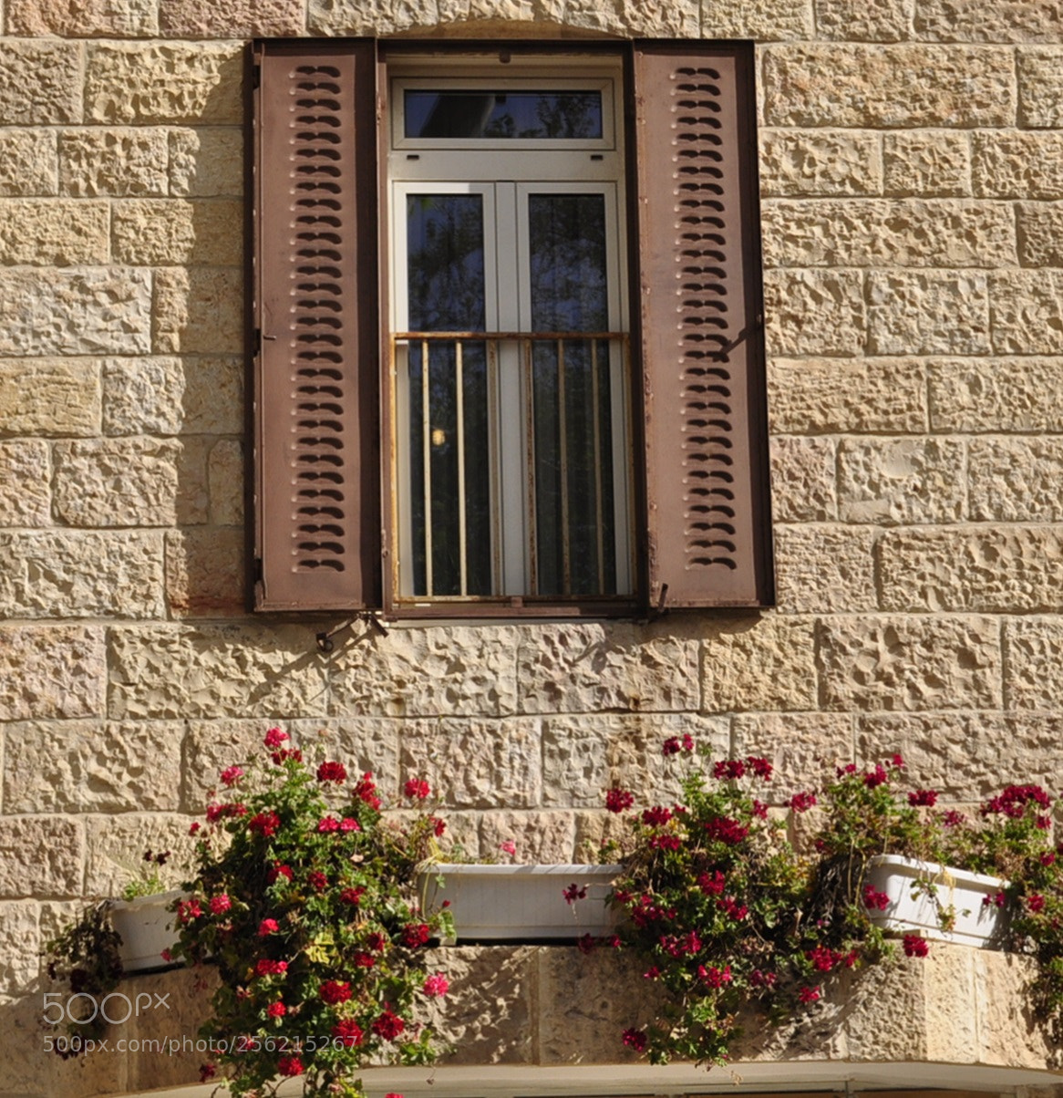 Nikon D5000 sample photo. Window photography
