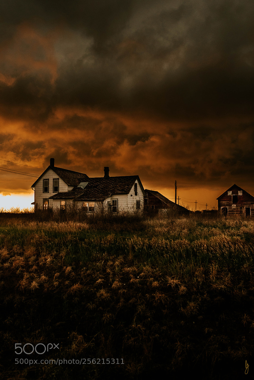 Nikon D750 sample photo. The house on the photography