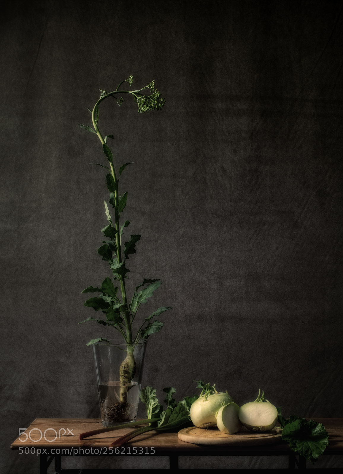 Nikon D850 sample photo. Still life kohlrabi photography