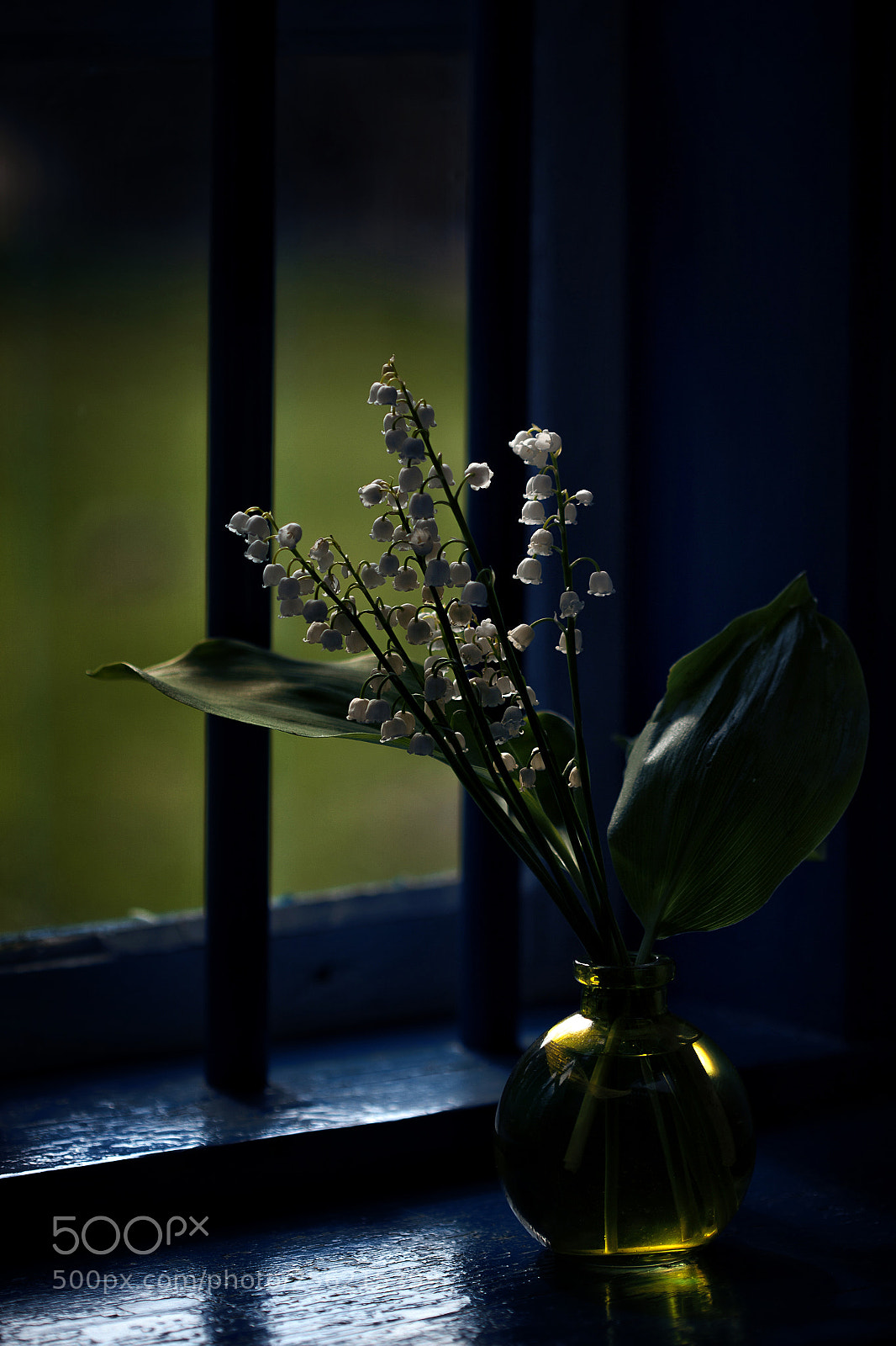 Canon EOS 5D Mark II sample photo. La f te du photography