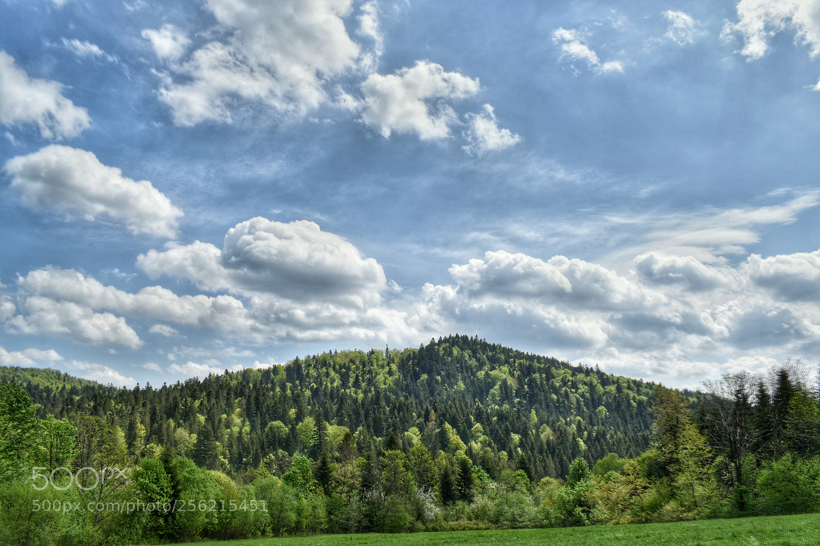 Nikon D5600 sample photo. Only sky. photography
