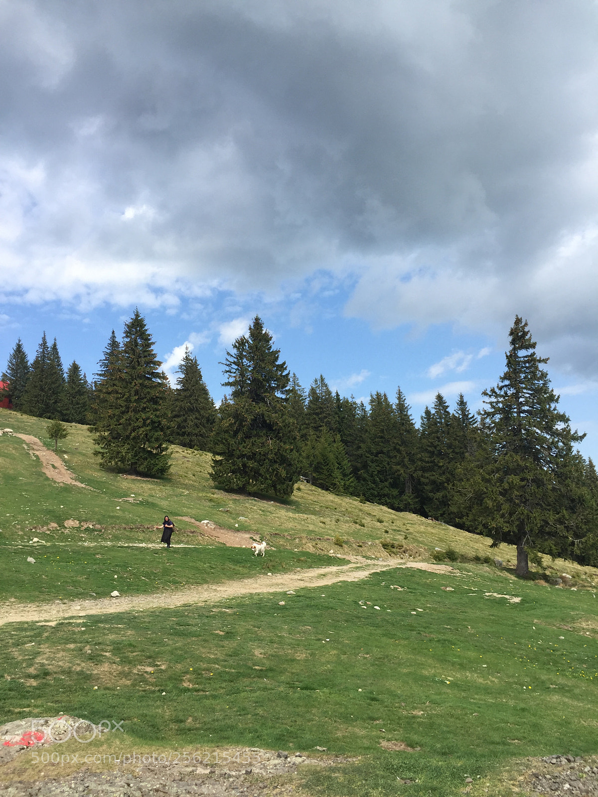 Apple iPhone 6 sample photo. Old mountain lady with photography