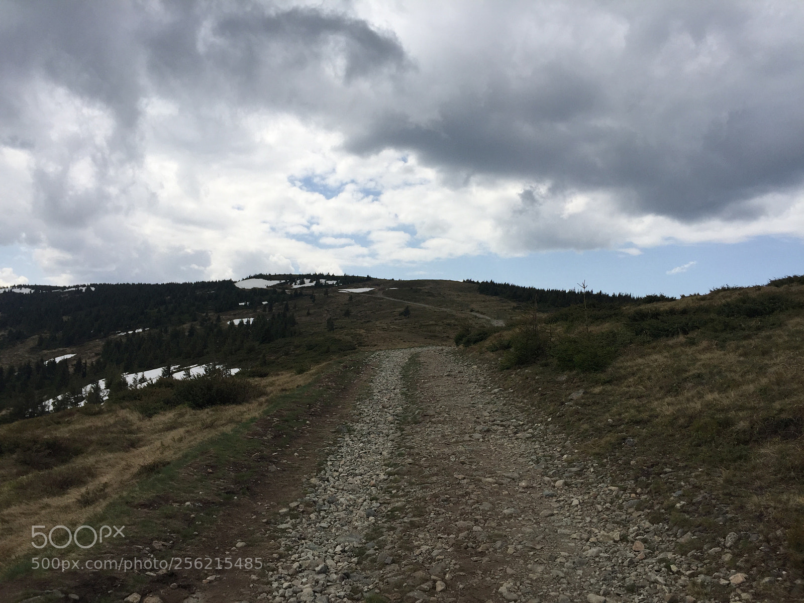 Apple iPhone 6 sample photo. Road towards the snow photography