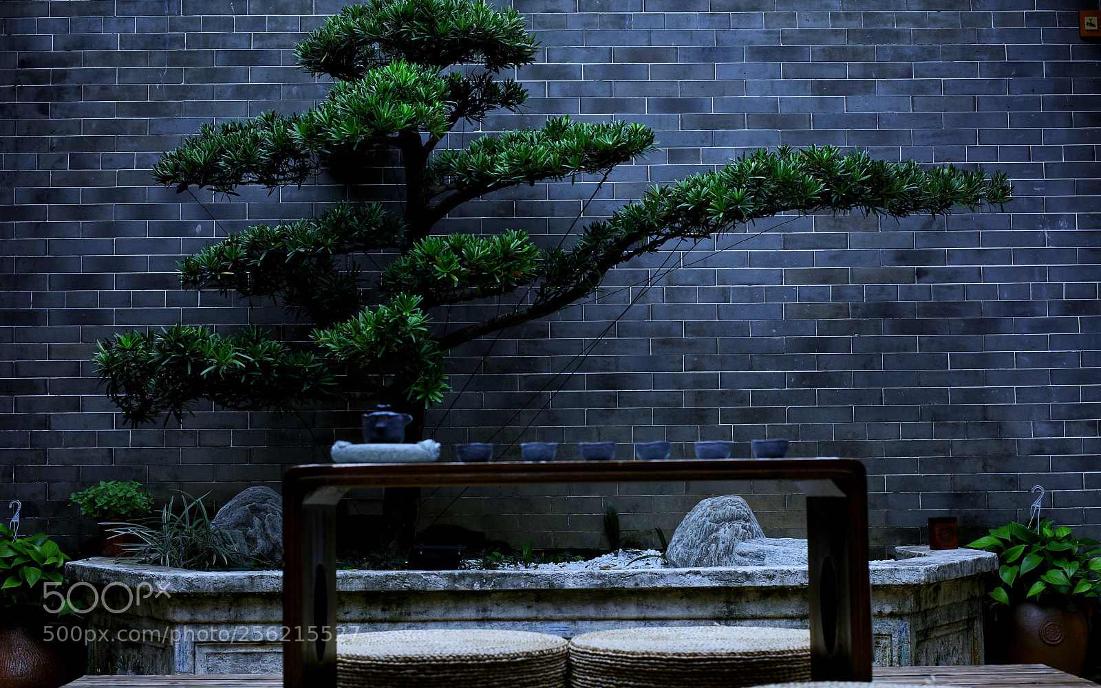 Canon EOS 5DS R sample photo. Mystery photography