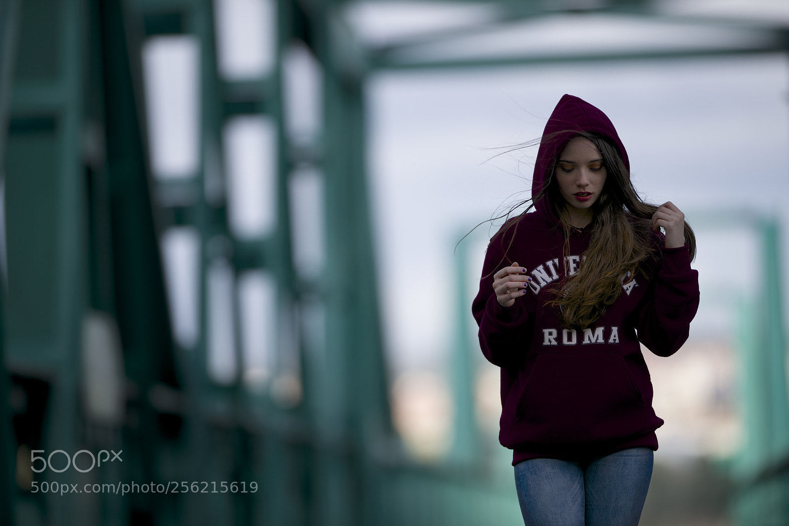 Nikon D800 sample photo. Puente verde ii photography