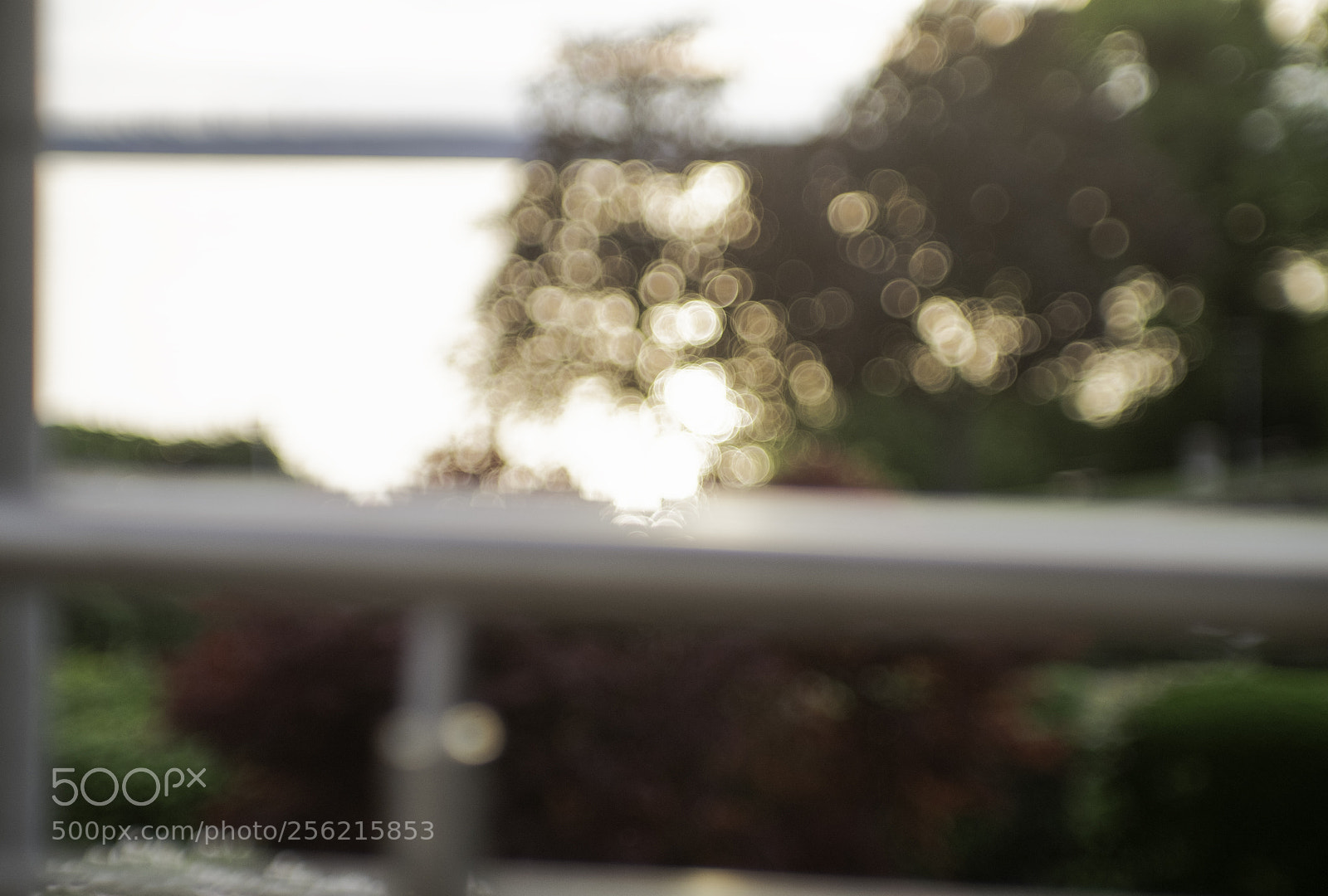 Fujifilm X-T1 sample photo. Mit altglas auf den photography