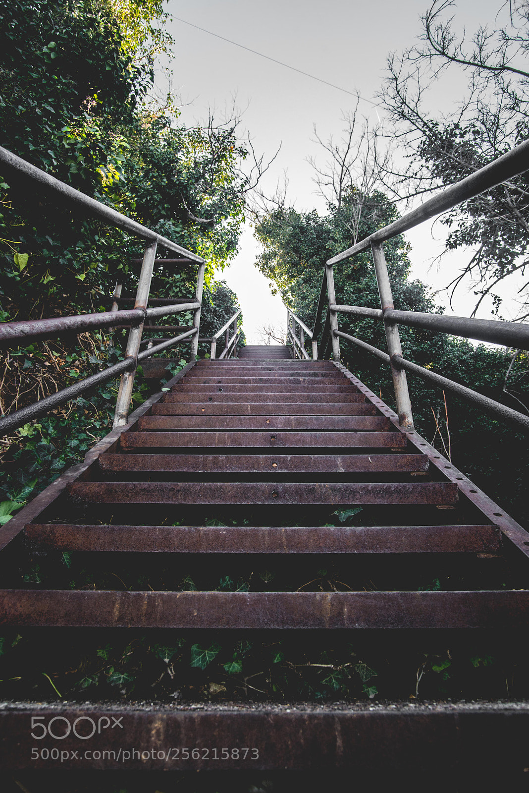 Nikon D610 sample photo. Stairs in jerome, az photography