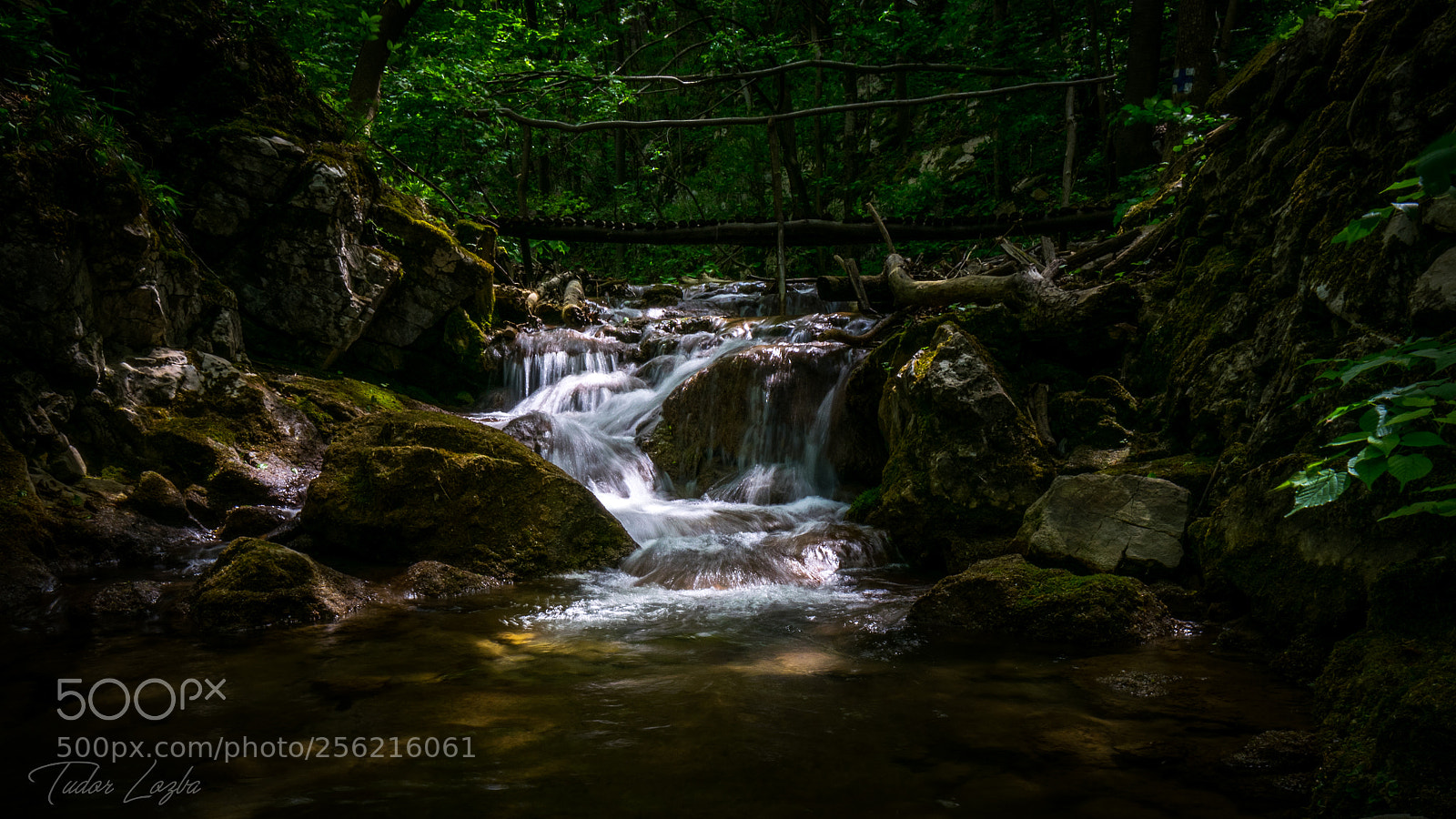 Nikon D3300 sample photo. Fairy tale landscape photography