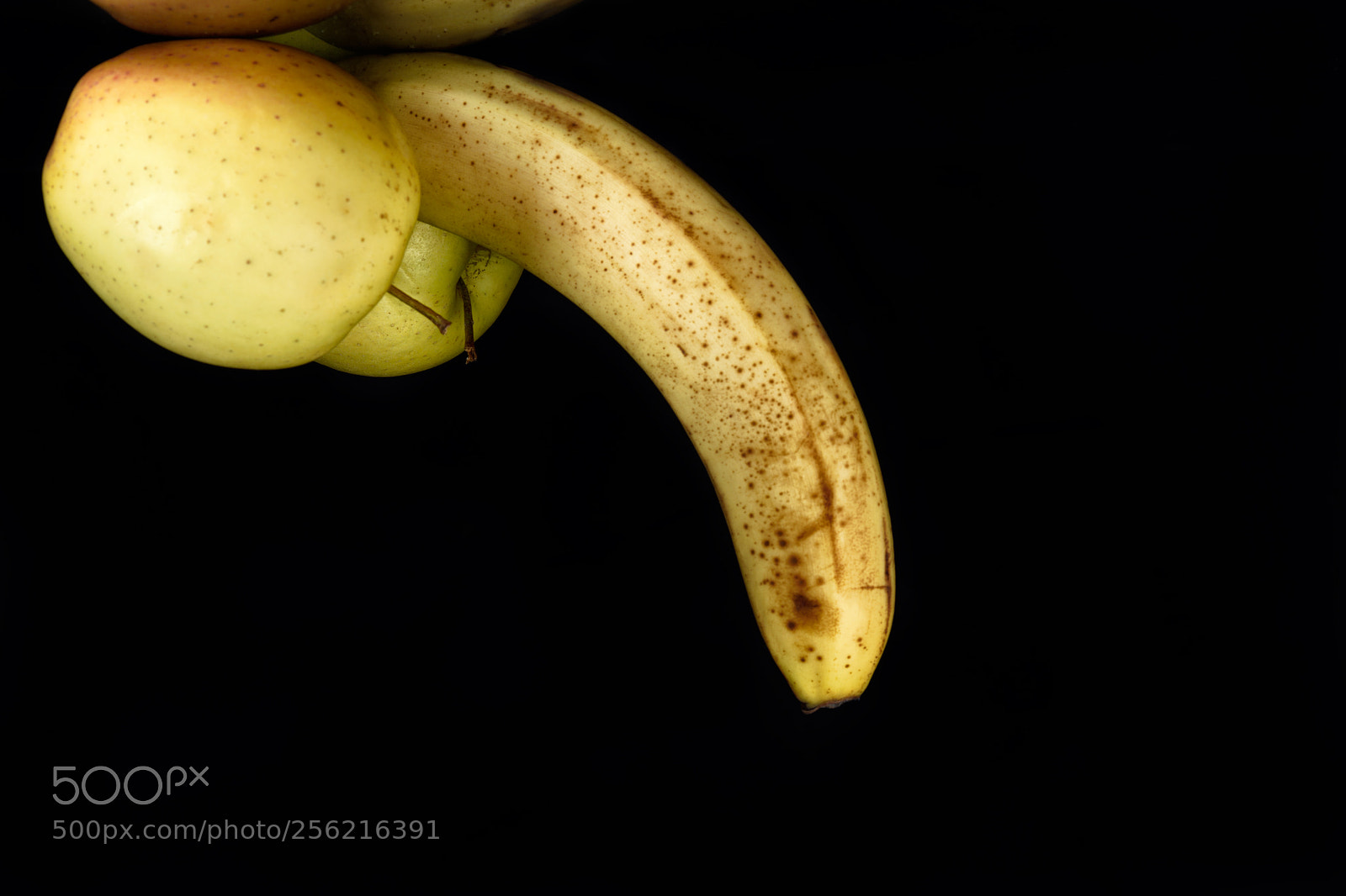 Nikon D810 sample photo. Lovely still life clxix photography