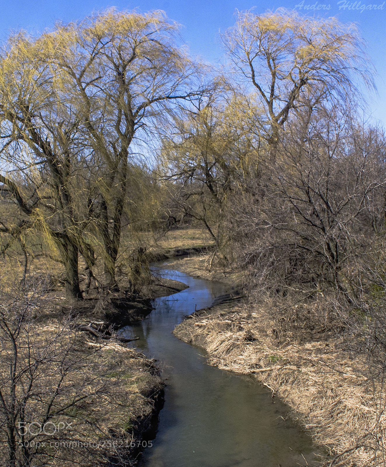 Nikon D3100 sample photo. Location shot photography