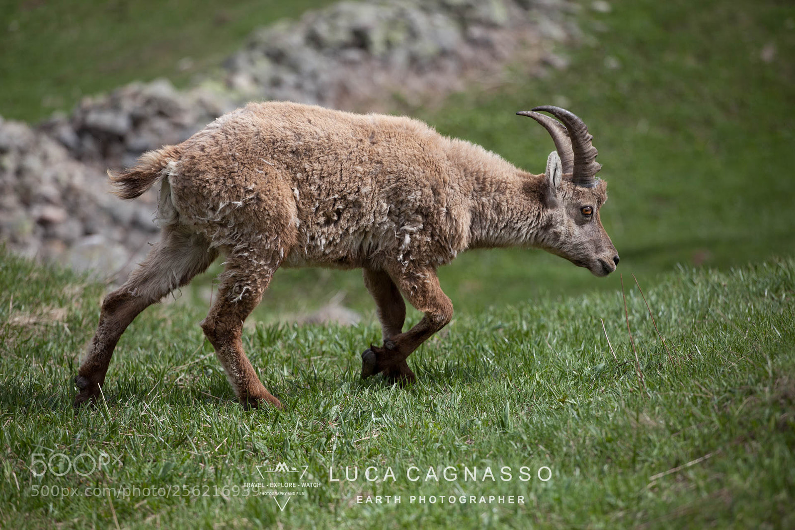 Canon EOS 5D Mark II sample photo. Img photography