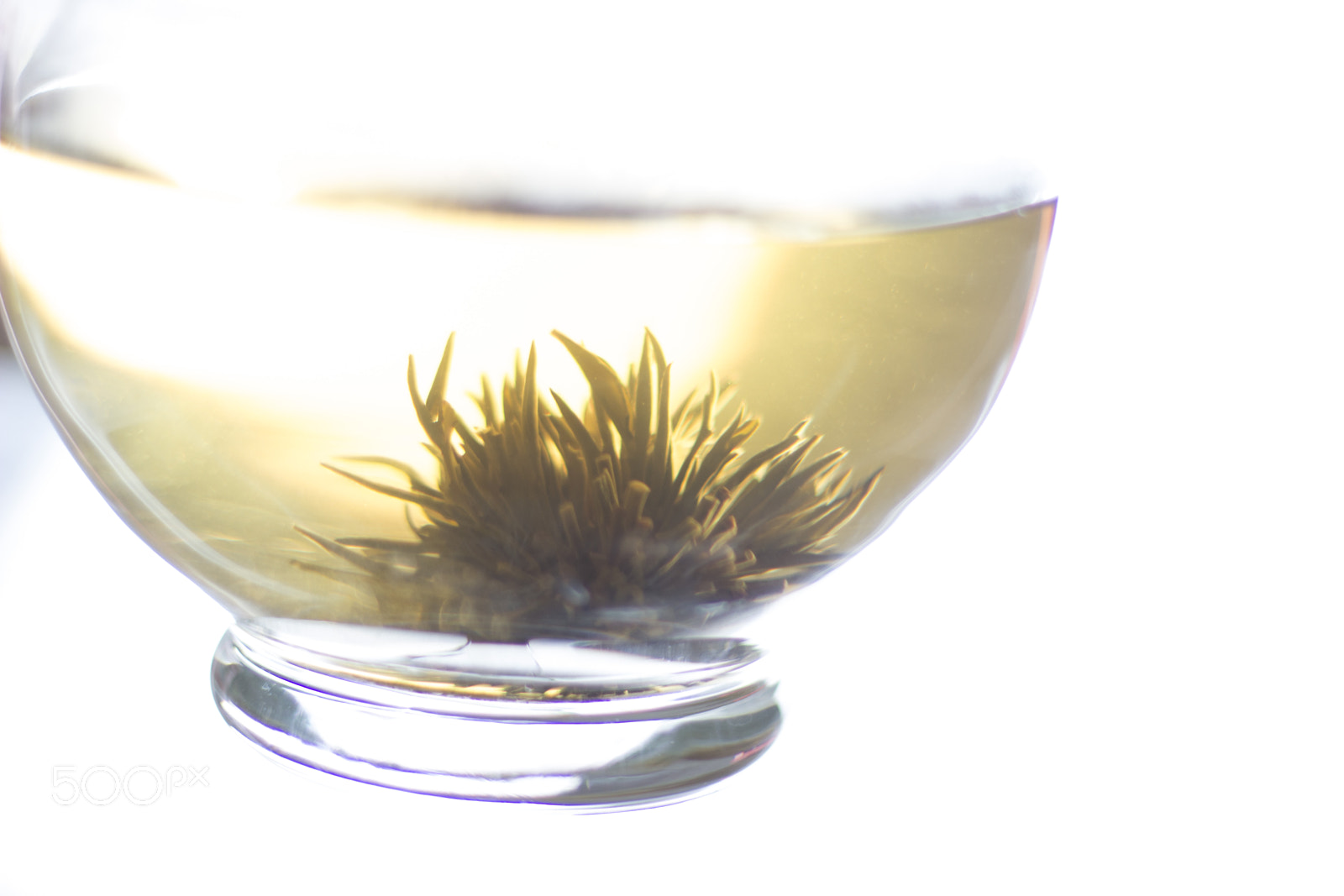 Canon EOS 600D (Rebel EOS T3i / EOS Kiss X5) sample photo. Your tasty tea is photography