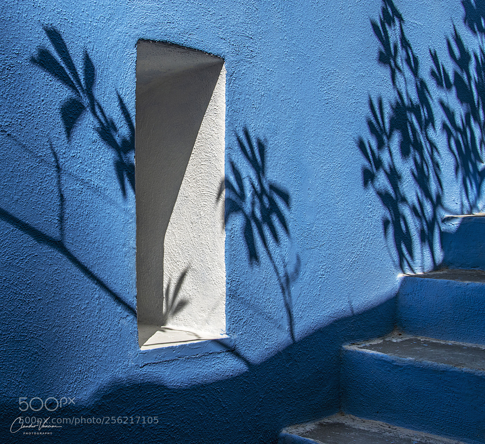 Nikon D5600 sample photo. Shadows in a blue photography
