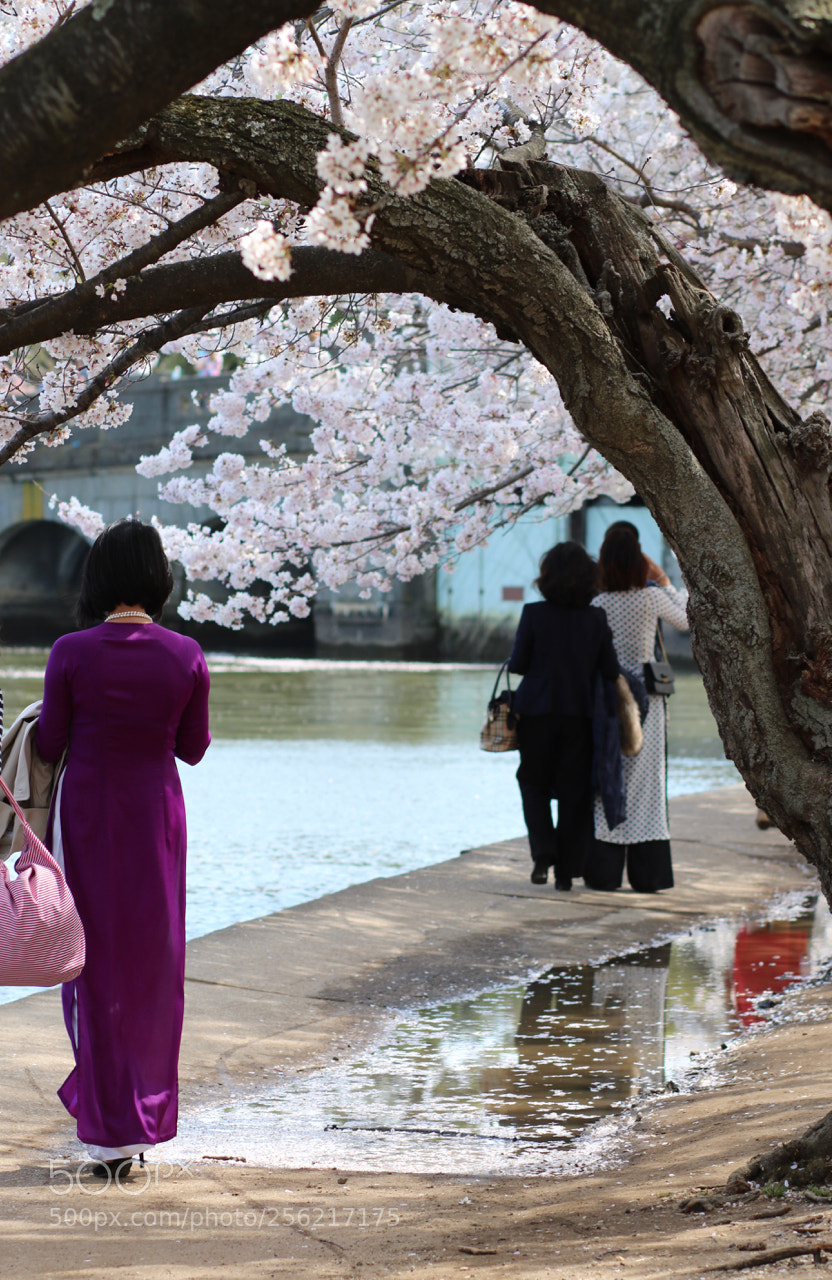 Canon EOS 750D (EOS Rebel T6i / EOS Kiss X8i) sample photo. April purple photography