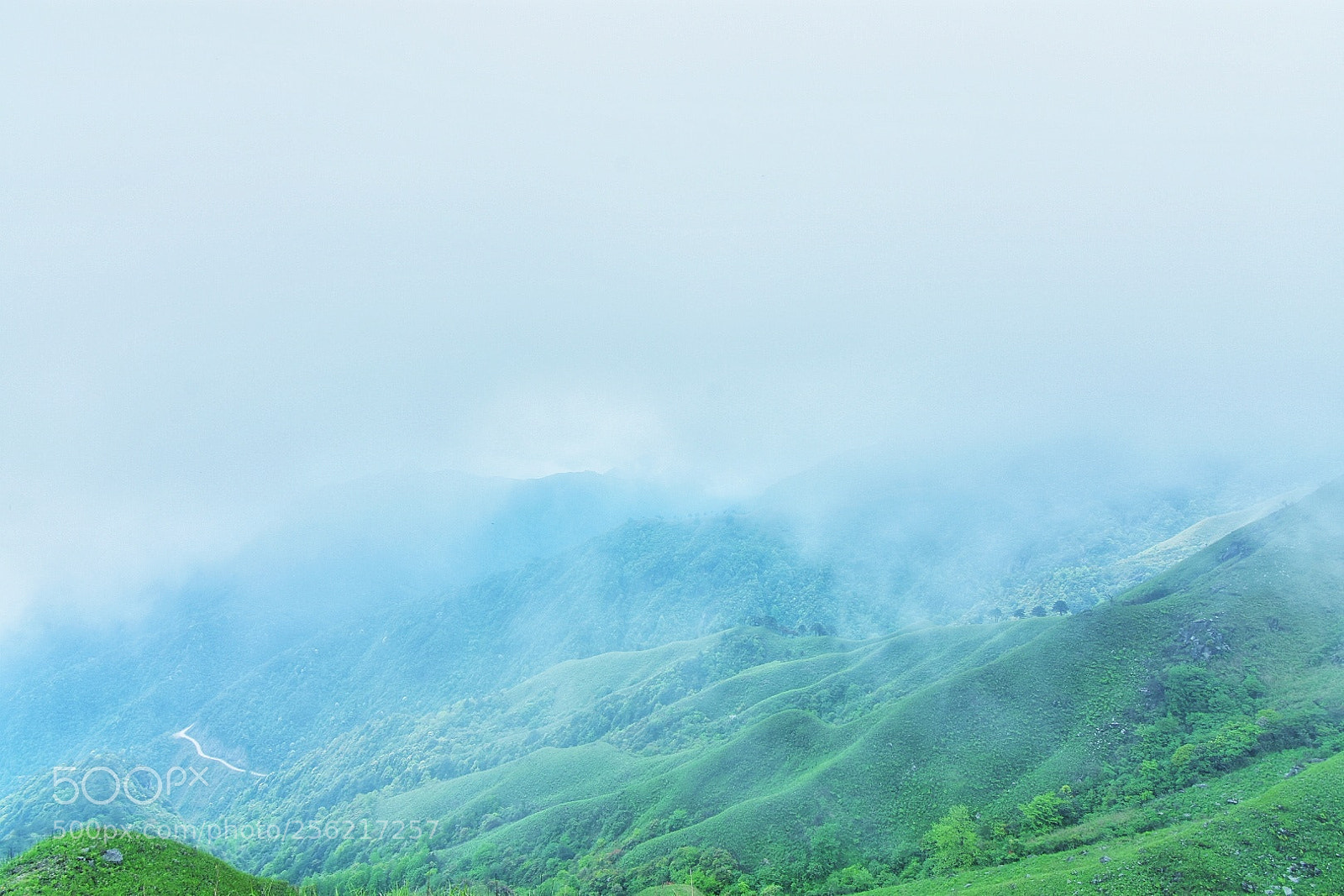 Nikon D7200 sample photo. 山 photography