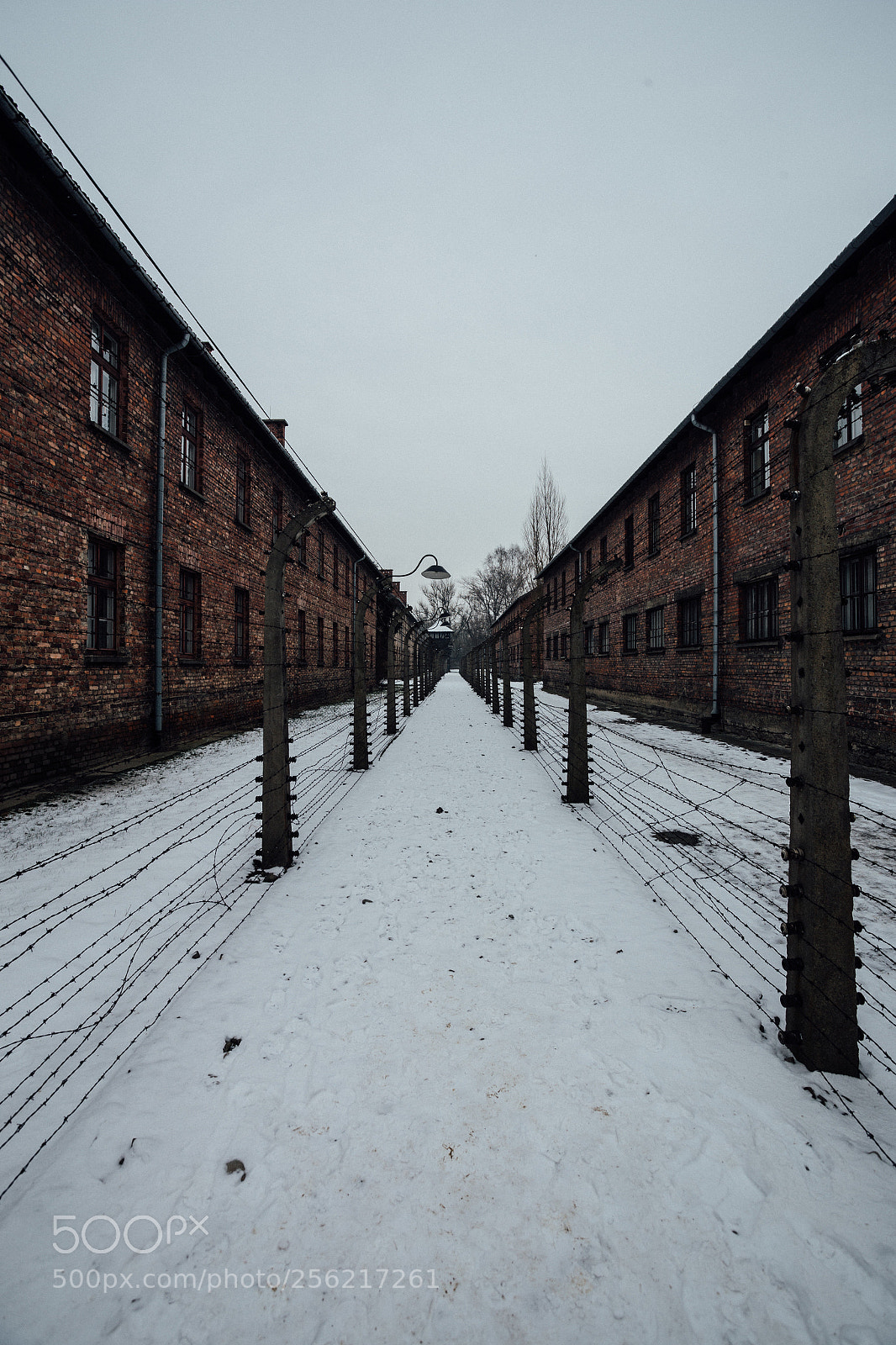 Canon EOS 6D sample photo. Auschwitz, poland photography
