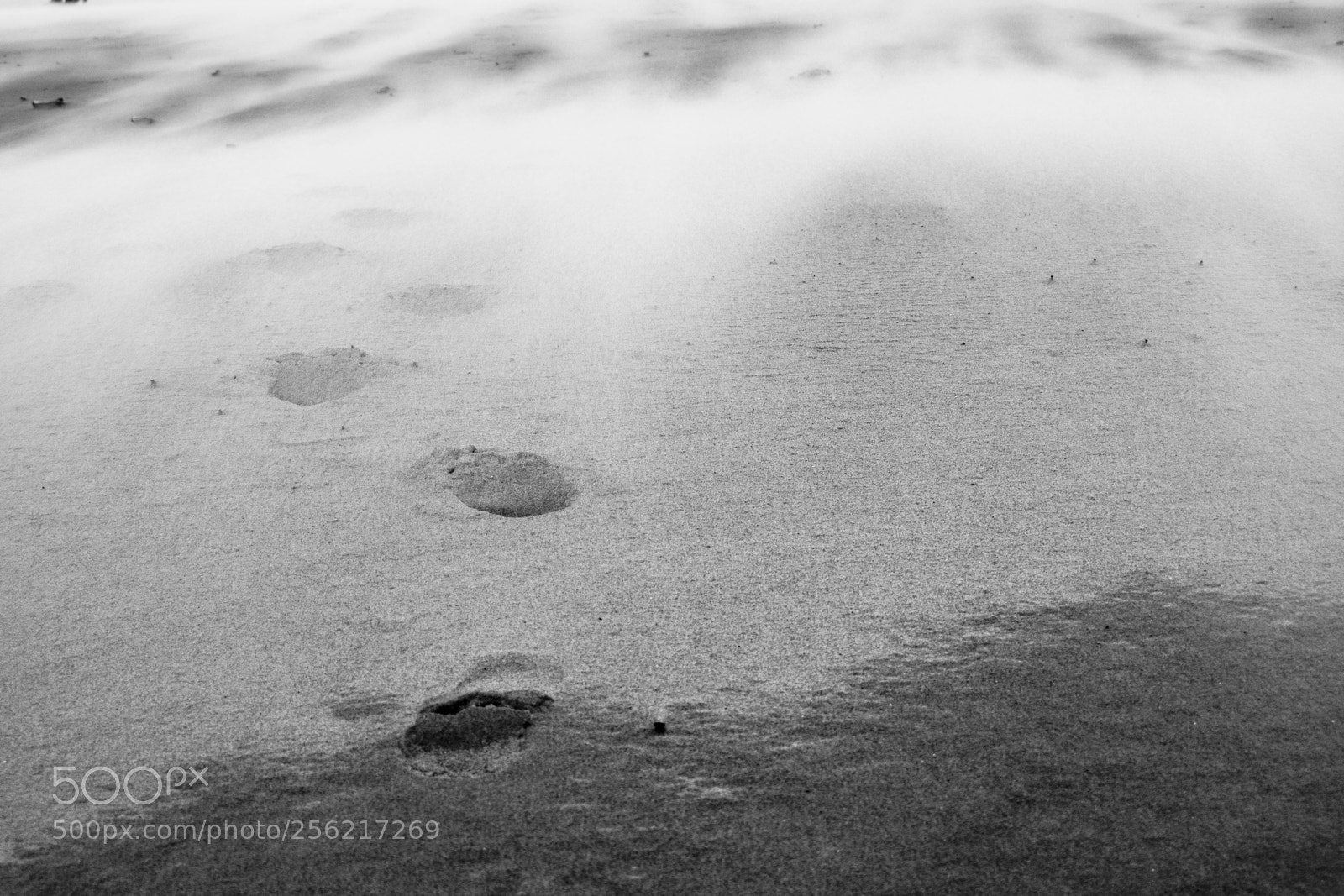 Nikon D3300 sample photo. Steps photography