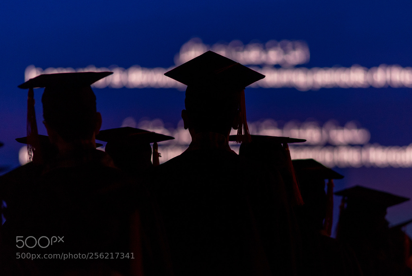Nikon D750 sample photo. Scholars! photography