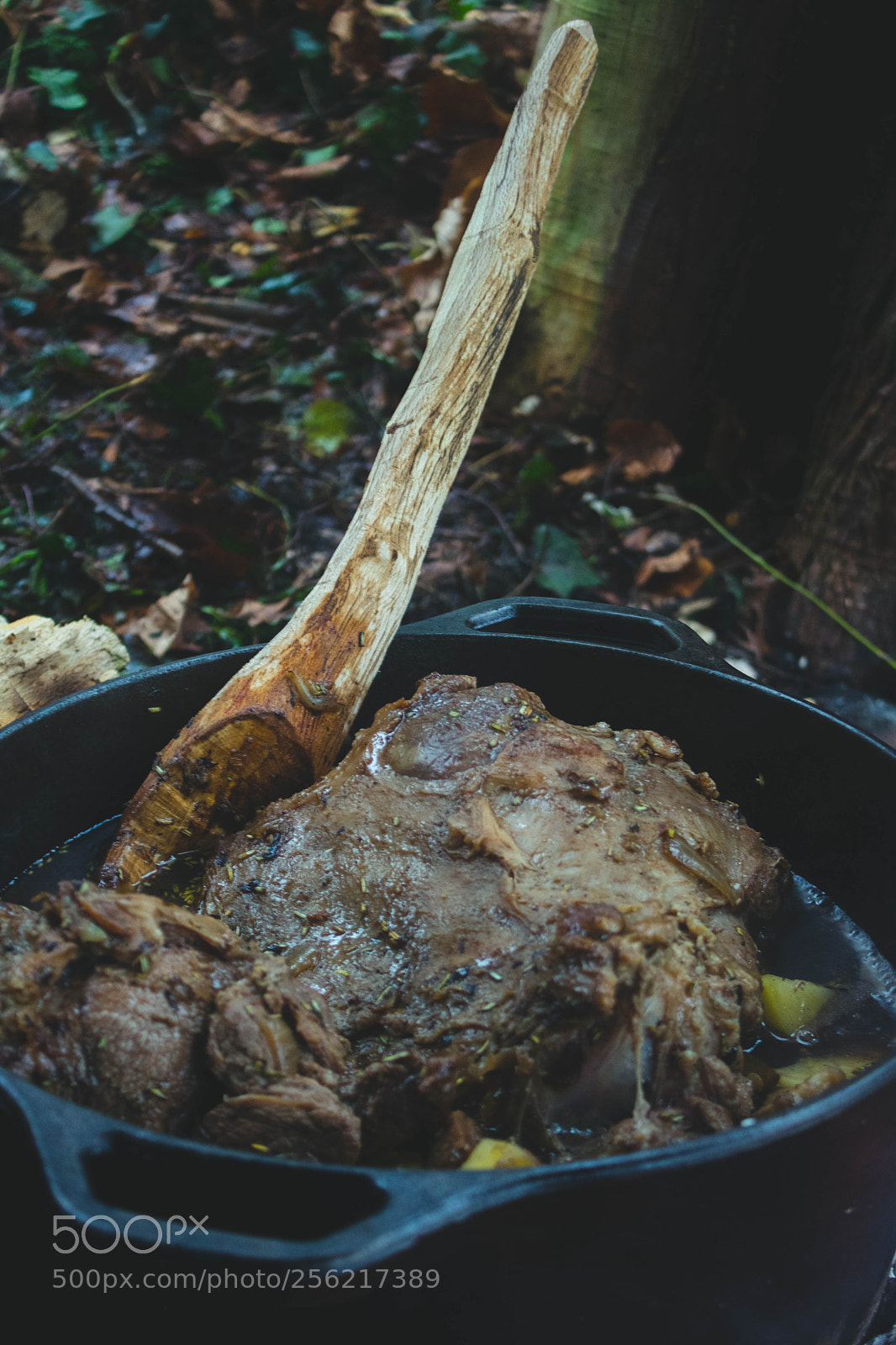 Canon EOS 760D (EOS Rebel T6s / EOS 8000D) sample photo. Wild cooking photography