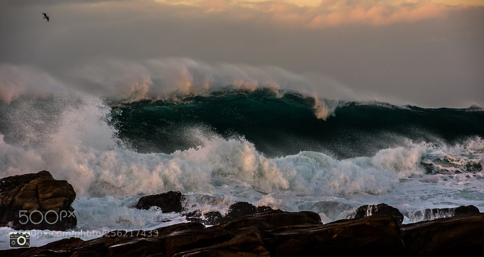 Nikon D7200 sample photo. Early morning wall photography