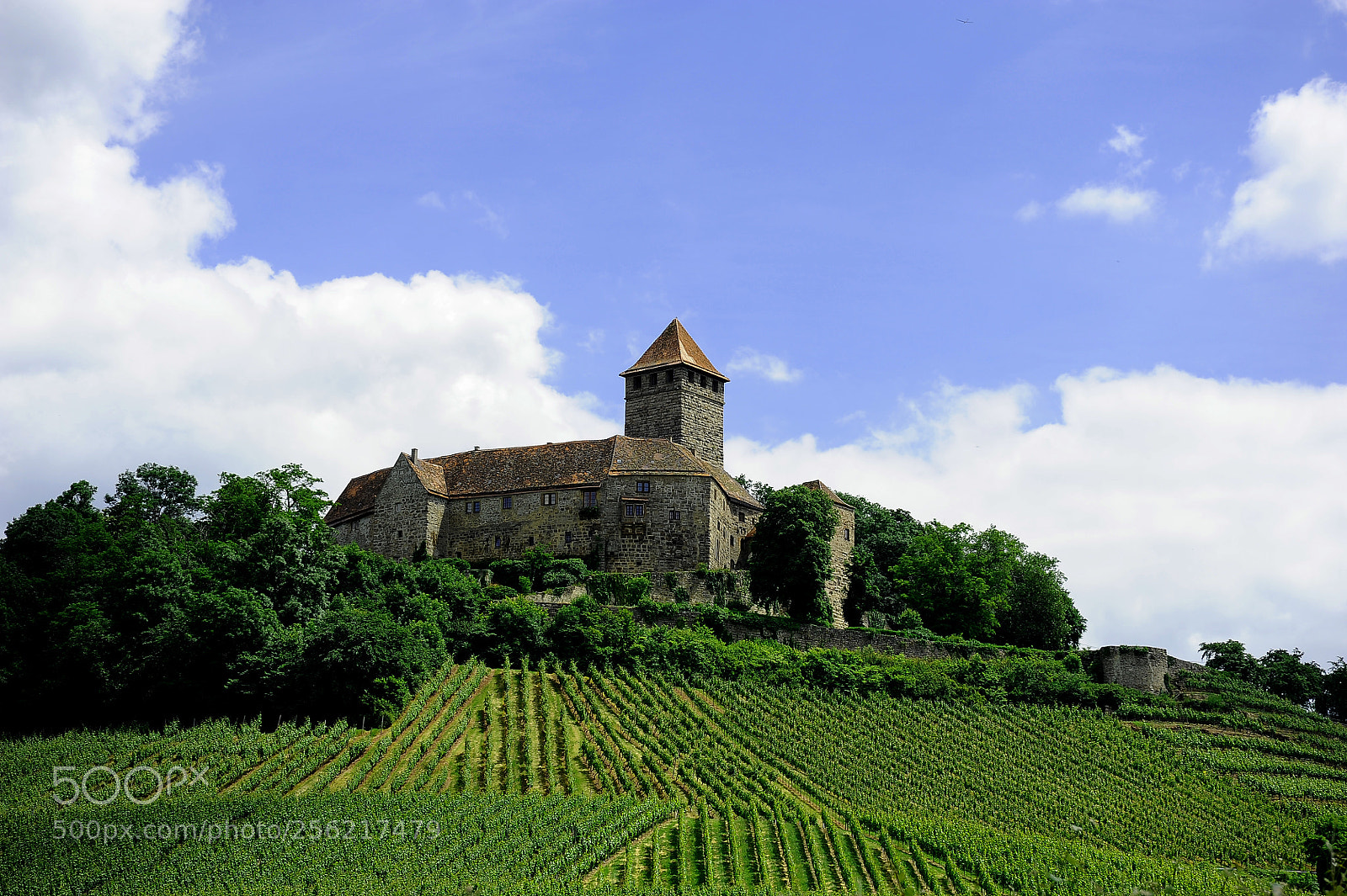 Nikon D700 sample photo. "burg lichtenberg" photography