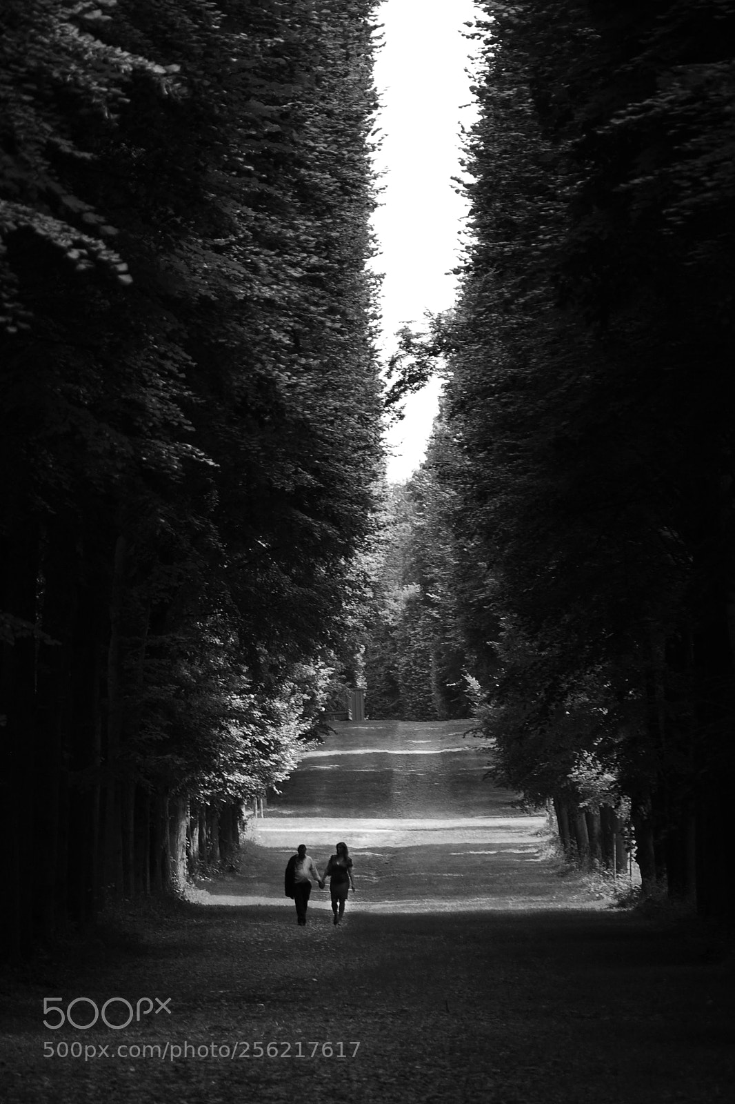 Nikon D90 sample photo. Lovers photography