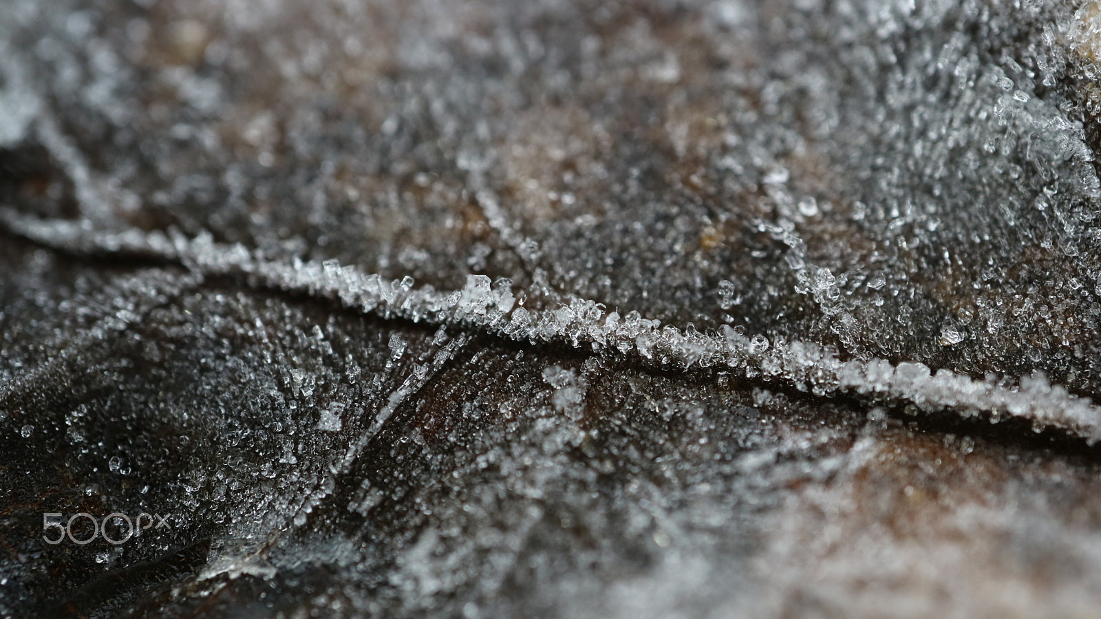 Canon EOS M3 + Canon EF-M 28mm F3.5 Macro IS STM sample photo. Crystal leaf photography